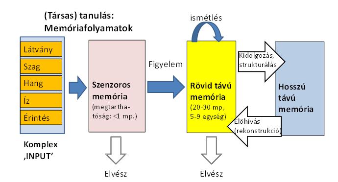 topal2