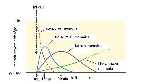 topal3